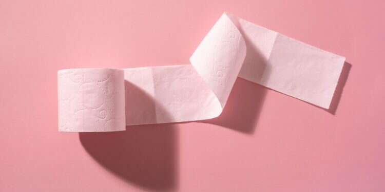 צילום: שאטרסטוק