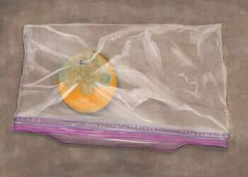 איור: שרון ארדיטי