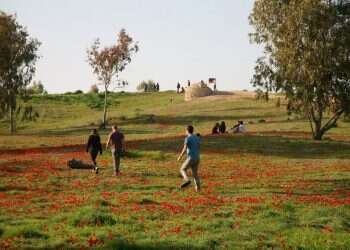 לא רק דרום אדום: שלושה מסלולי פריחה ששווים ביקור