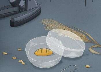 איור: נעמה להב