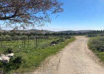 4 שנים אחרי העקירה: גם החלקות החקלאיות בעמונה ייהרסו