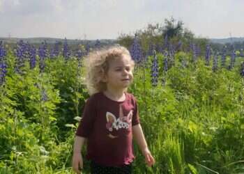 פריחה בגבעת התורמוסים. צילום: אורנה בן חיים לא רק דרום אדום: שלושה מסלולי פריחה ששווים ביקור