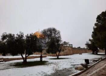 בוקר לבן בירושלים וביו"ש: השלג בא לביקור חטוף