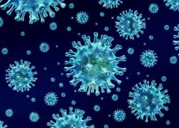 לאן נעלמה השפעת? החידה שמסעירה את עולם הרפואה