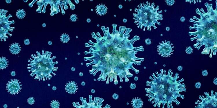 צילום: שאטרסטוק לאן נעלמה השפעת? החידה שמסעירה את עולם הרפואה