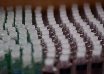 רק זה היה חסר: בארה"ב התגלו חומרים מסרטנים באלכוג'ל