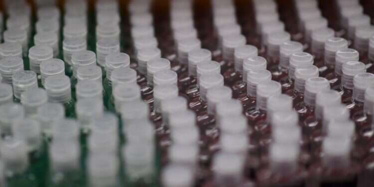 מוצרי חיטוי מוצעים למכירה בארה רק זה היה חסר: בארה"ב התגלו חומרים מסרטנים באלכוג'ל