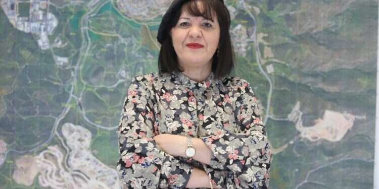 מודל בית־שמש: העירייה תקים מרכז תעסוקה עירוני