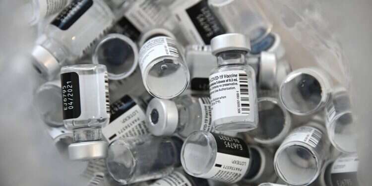 צילום: AFP מומחי רפואה השתכנעו: חיסון ילדים הכרחי להשגת חסינות עדר