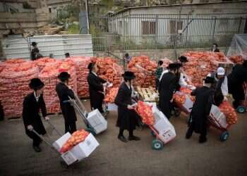 המדריך לנבכי הצרכן החרדי