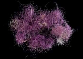 תעשיית הטקסטיל העתיקה של עם האצולה