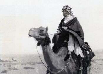 ספרו של הקצין שלא פעל לפי הספר