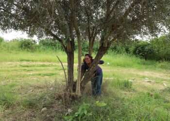 "העץ, שנותן לנו חמצן, נלקח כמובן מאליו"