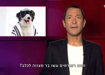 גיא זהר וה"בארק מצווה": האם הפחד מהתבוללות "ישראלית" מניע את החרדים?