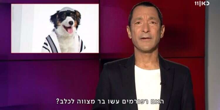 האם רפורמים עשו גיא זהר וה"בארק מצווה": האם הפחד מהתבוללות "ישראלית" מניע את החרדים?