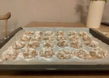 קחו לכם רגע עם עוגיות שוקולד צ'יפ כשרות לפסח