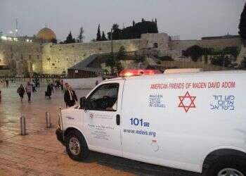 אשליית הרוב החילוני: דרושה שותפות של החרדים ולא שילוב