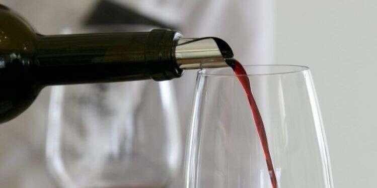 צילום: אנצ'ו גוש - ג'יני על שמונה כוסות: המדור ממליץ על יינות לחג