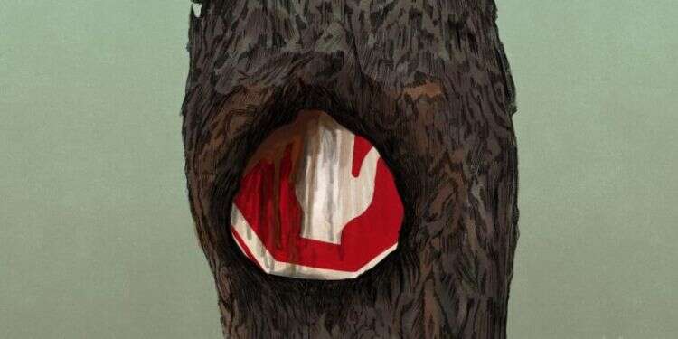 איור: שרון ארדיטי איור: שרון ארדיטי