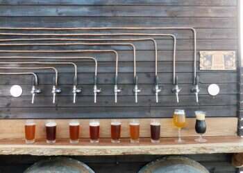 חוזרים לחיים: מופעי התרבות שלא תרצו להפסיד