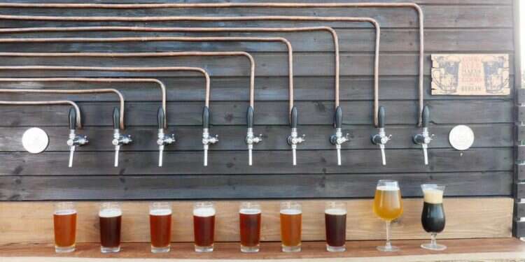 צילום: שפי שלתיאל חוזרים לחיים: מופעי התרבות שלא תרצו להפסיד