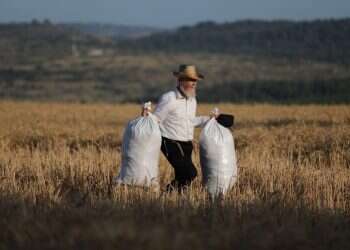 סימני דרך: התהליך חשוב לא פחות מהמטרה