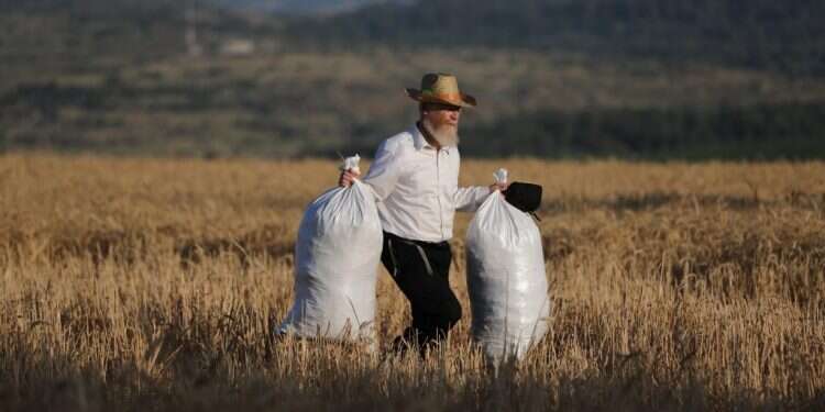 סימני דרך: התהליך חשוב לא פחות מהמטרה