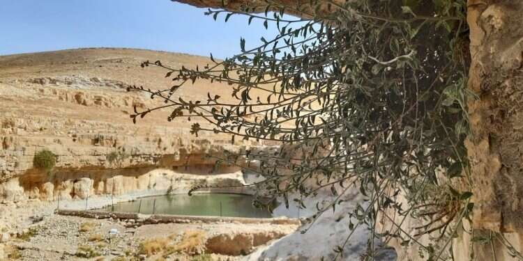 ח'רבת א-דיר המדבר לא מתמסר בקלות, אך בפני אוהביו הוא נפתח ומתגלה