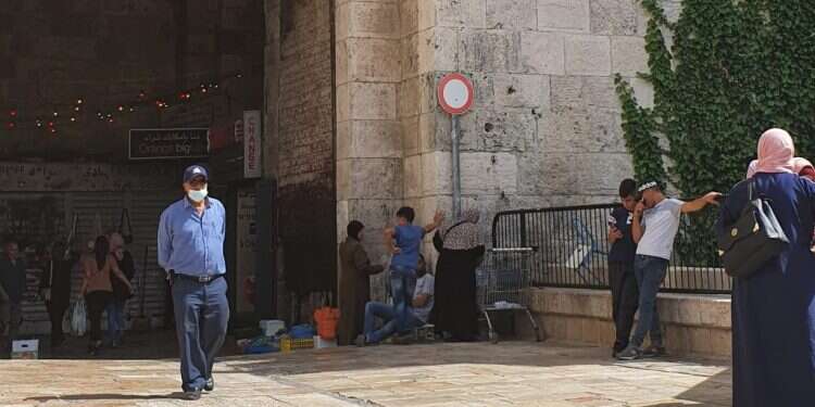 נזק היקפי: תושבי העיר העתיקה מתנערים מטרור הטיקטוק