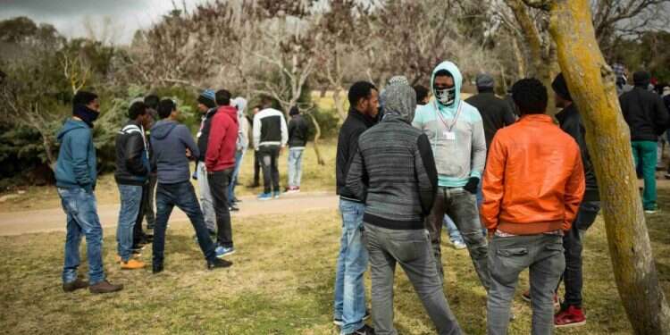 חשיפת תוקף הדמוקרטיה: סכנת העריצות הנאורה