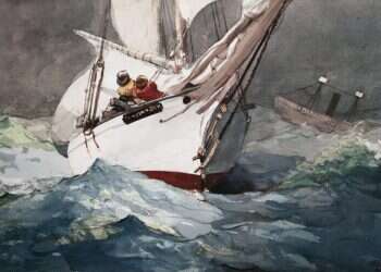 שחפים בסערה: מופת לכתיבה נורדית צלולה ומאופקת