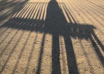 ספר שירים למשוררים: מחוות אהבה לתרבות