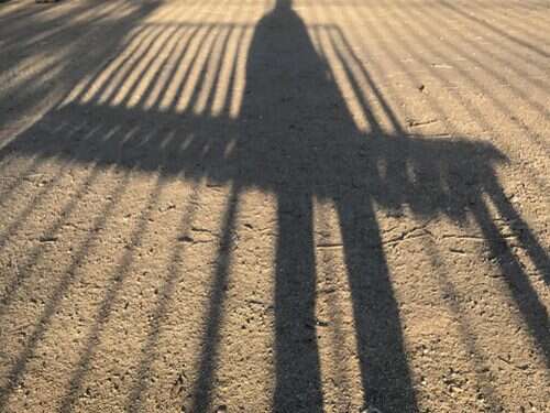 ספר שירים למשוררים: מחוות אהבה לתרבות