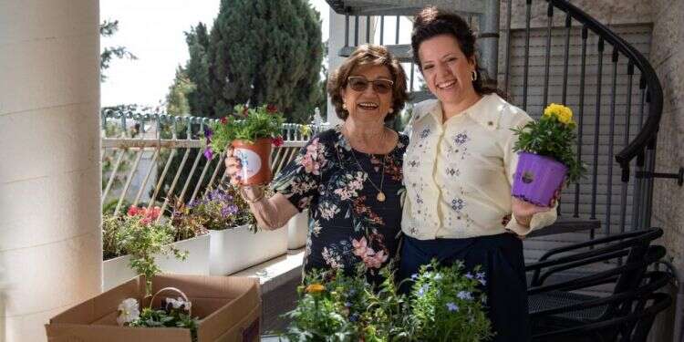 בדירה אחת: אני והסבתא