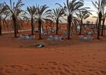 רק לא אלכוהול: לסעודיה יש הרבה מה להציע