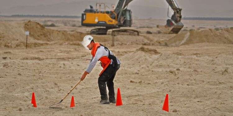 פרויקט פינוי מוקשים לטובת הסבה לחקלאות בבקעת הירדן. צילום: אגף דוברות והסברה, משרד הביטחון שדות מוקשים יפונו ויוסבו לחקלאות בבקעת הירדן