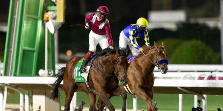 עולים על המגרש: השינוי הספורטיבי – גאווה לאומית לסעודים