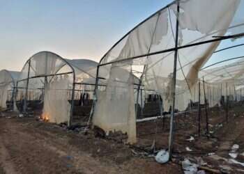 שריפת החממות בשדה משה: "שחור בעיניים, תרתי משמע"