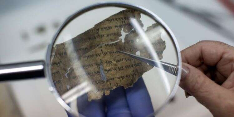 צילום: אי. פי. איי