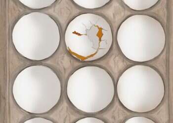 מה קורה לספינה כאשר הערצת הקברניט או שנאתו הופכות לערך בלעדי