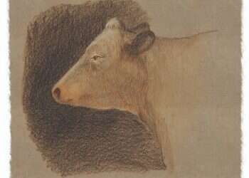 פרשת אחרי מות־קדושים: חזון הצמחונות