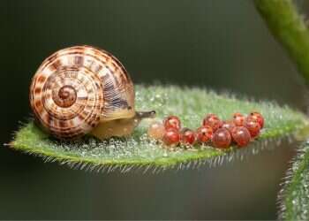 חוזרים לחיים: עולם התרבות קורא לנו