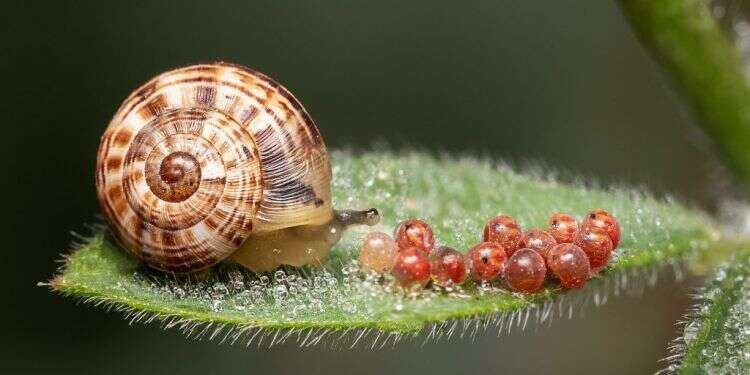 חוזרים לחיים: עולם התרבות קורא לנו