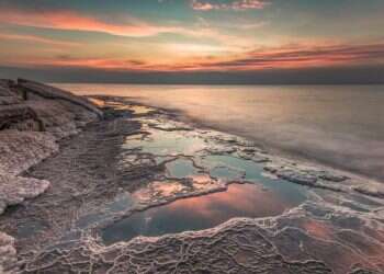 יום כדור הארץ: קונים, מבלים ונהנים