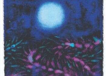 פרשת שמיני: טעמים של הבחנה