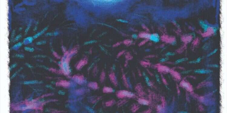 פרשת שמיני: טעמים של הבחנה