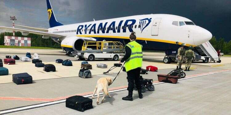 בדיקת הכבודה של נוסעי טיסת ריינאייר במינסק. צילומים: AFP