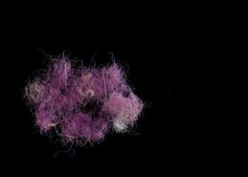 סיפור בדים: תעשיית הצבעים האבודה של העת העתיקה