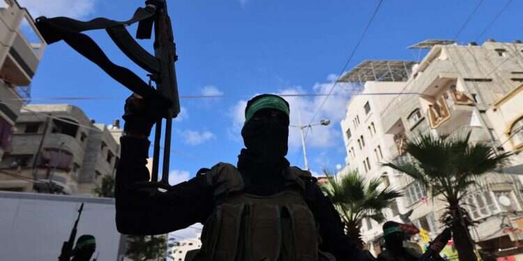 פעיל טרור בעזה. צילום: AFP "מלחמה היא גיהינום", אבל היא הפתרון היחיד