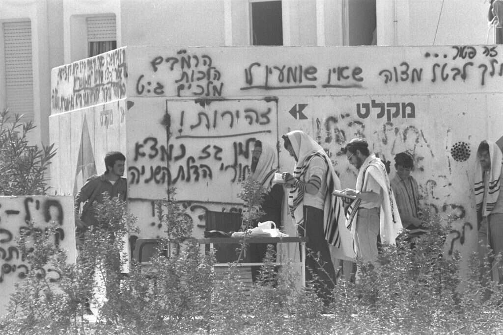 צילום: טל אור בני - לע